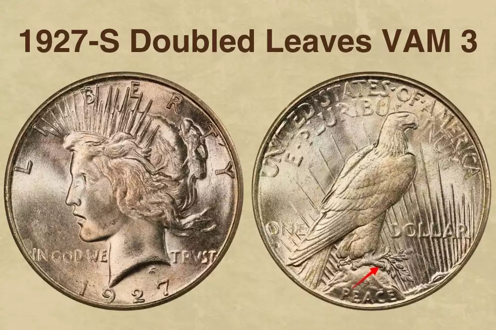 1927-S Peace Dollar VAM 3 Doubled Leaves close-up showing secondary outline on eagle's olive branch leaves