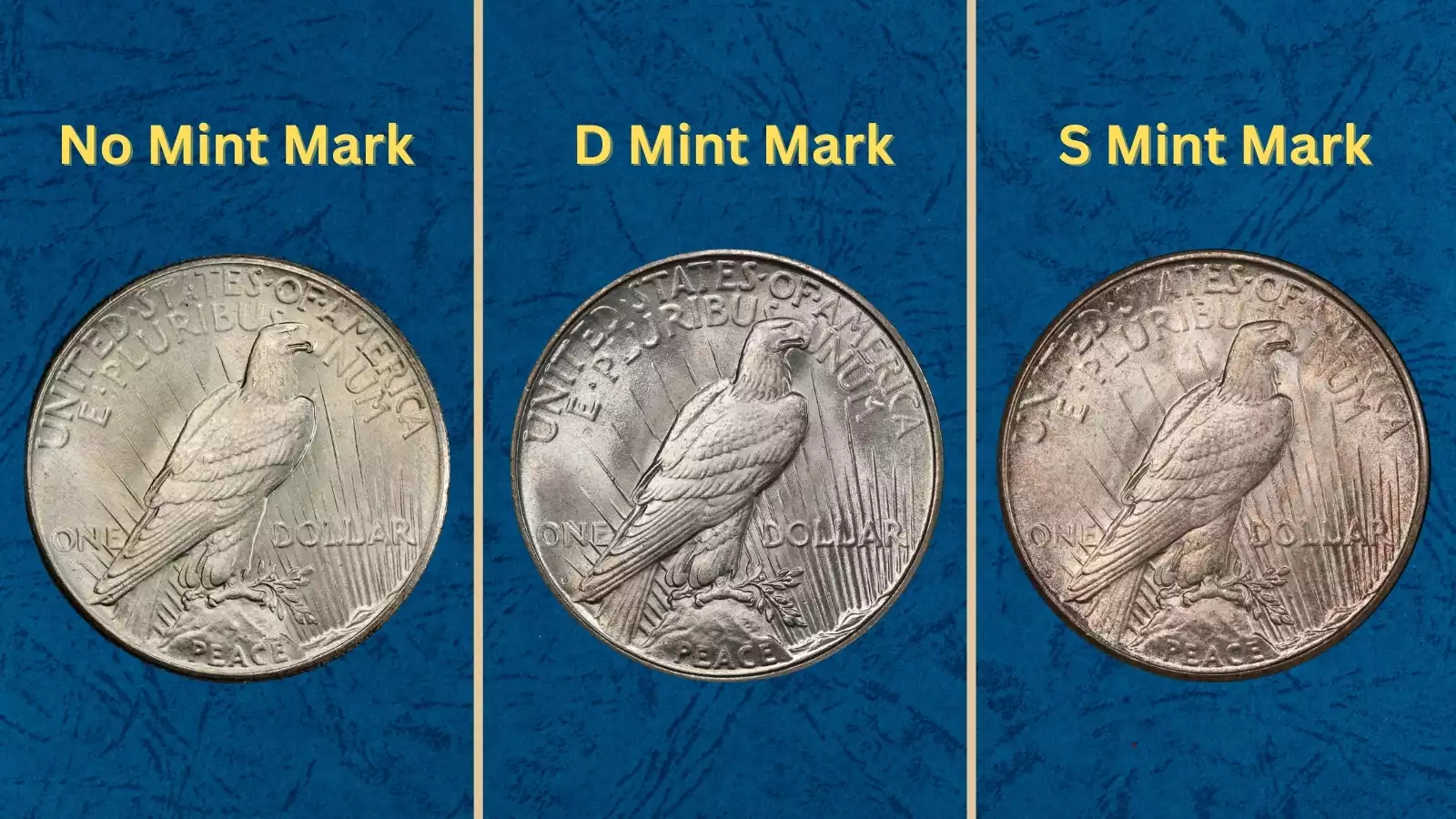Group of 1927 Peace Silver Dollars showing examples from Philadelphia, Denver, and San Francisco mints in various grades